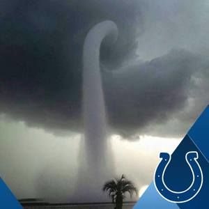 Meet your Posher, Latasha